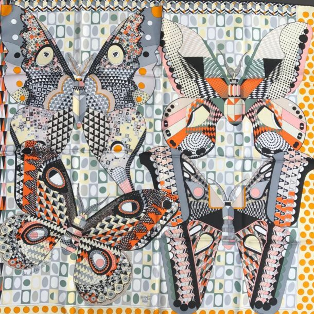 Les ailes de la soie